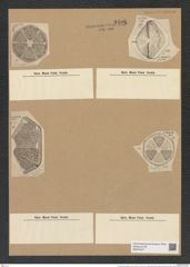 Actinoptychus hexagonus Grun. (de-Toni-Nr.: Genus 227, Species 5609) Zeichnungen Sammlung Grunow Nr. 9496 (NHMW-BOT-W0379477)